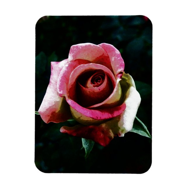 Íman Rosa vermelha pintada com óleo (Vertical)
