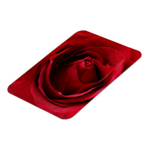 Íman rosa vermelha profunda