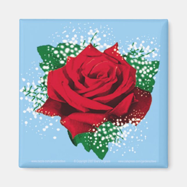 Íman ROSA VERMELHA Sq Magnet (Frente)