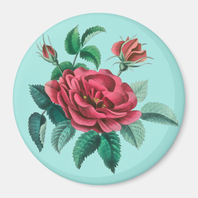 Íman Rosa vermelha Vintage (Frente)