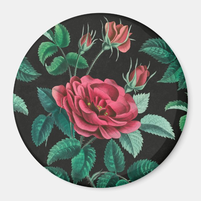 Íman Rosa vermelha Vintage (Frente)
