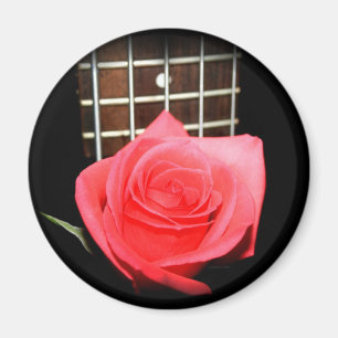 Íman Rosa vermelho do rosa contra o conselho da fricç