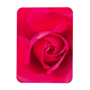 Íman Rosa Vermelho Romântico Rosa v2