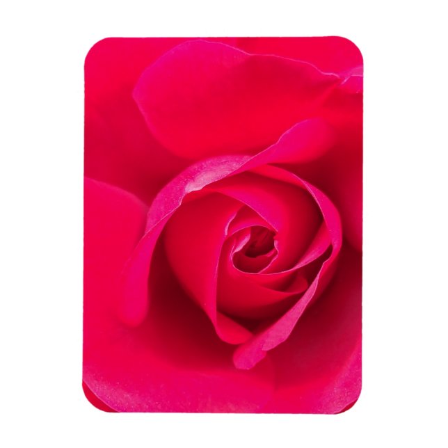 Íman Rosa Vermelho Romântico Rosa v2 (Vertical)