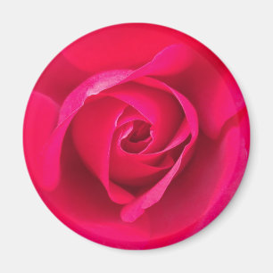 Íman Rosa Vermelho Romântico Rosa v2