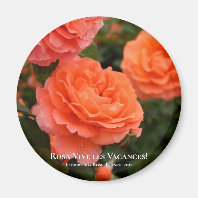 Íman Rosa Vive les Vacances! (Frente)