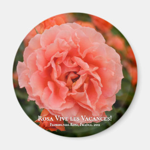 Íman Rosa Vive les Vacances! マ グ ネ ト