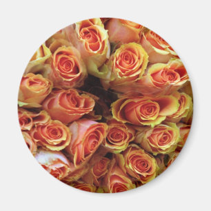ÍMAN ROSAS