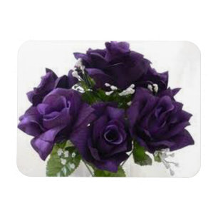 ÍMAN  ROSAS