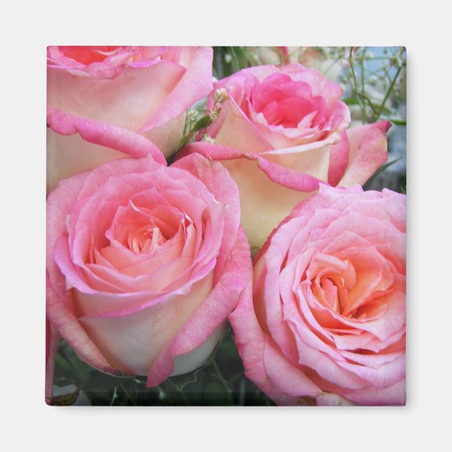 Íman Rosas (Frente)