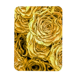 Íman Rosas Amarelas