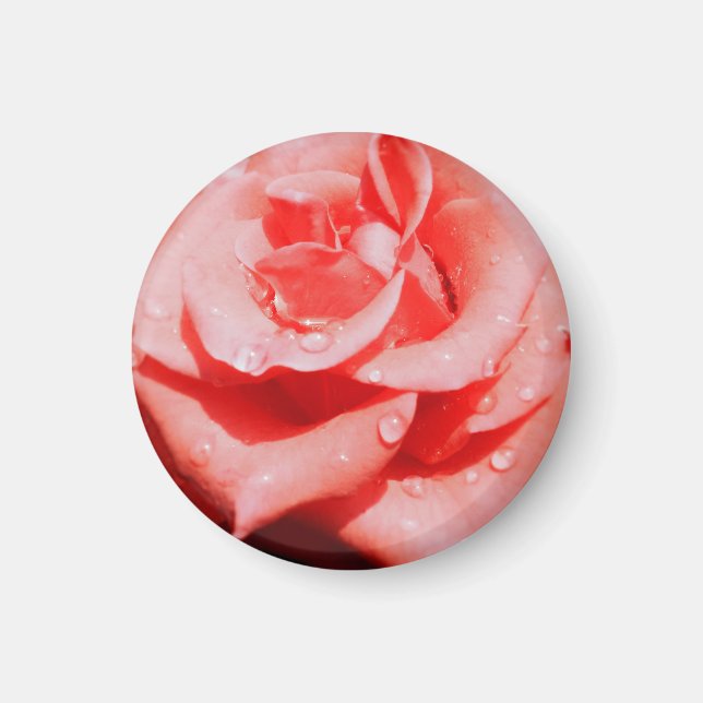 Íman Rosas Antigas (Frente)