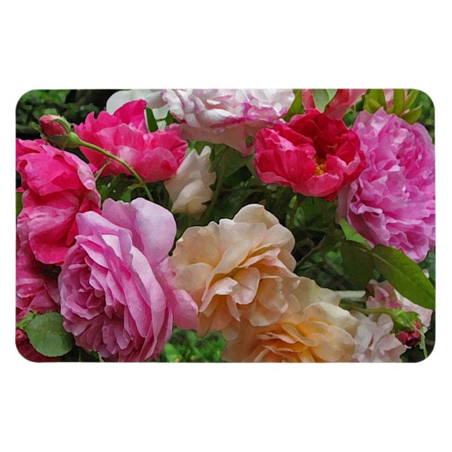 Íman Rosas antigos movidos (Horizontal)