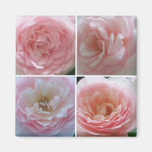 Íman Rosas Bonitas