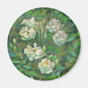Íman "Rosas brancas, folhas verdes", lindas flores