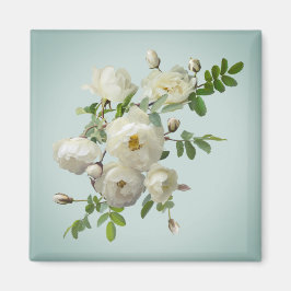 Íman Rosas brancas sobre ímã verde-sonâmbulo