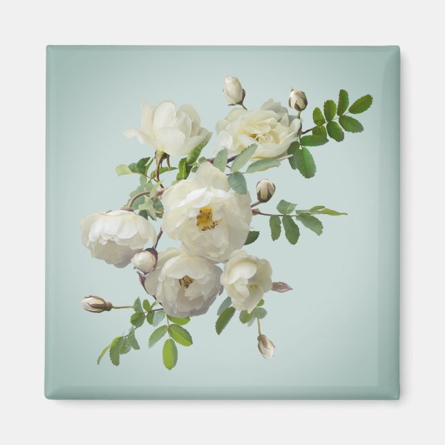 Íman Rosas brancas sobre ímã verde-sonâmbulo (Frente)