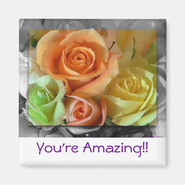 Íman Rosas Coloridos-Magnetos (Frente)