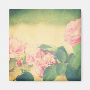 Íman Rosas cor-de-rosa de escalada