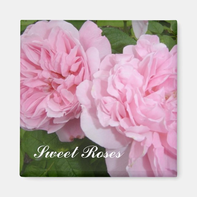 Íman Rosas Cor-de-Rosa Doces (Frente)