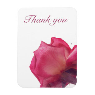 Íman Rosas cor-de-rosa. ilustração floral