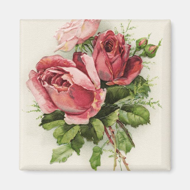 Íman Rosas da antiguidade da arte do vintage (Frente)