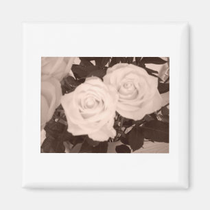 Íman Rosas de casamento
