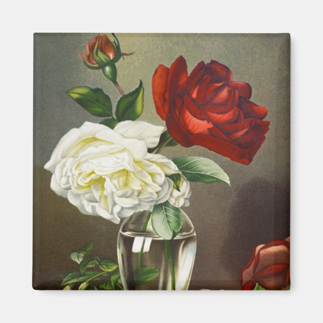 Íman Rosas de Jardim Antigas em um Vaso de Vidro (Frente)