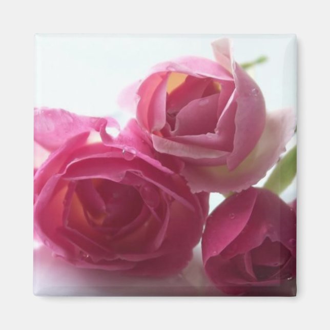 Íman Rosas Rosa (Frente)