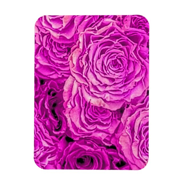 Íman Rosas Rosa Brilhantes (Vertical)