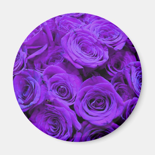 Íman rosas roxas violetas românticas, buquê de rosa bon (Frente)