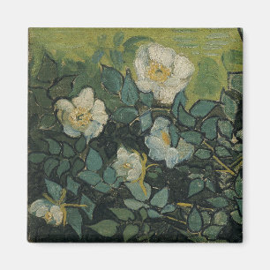 Íman Rosas Silvestres por Vincent van Gogh