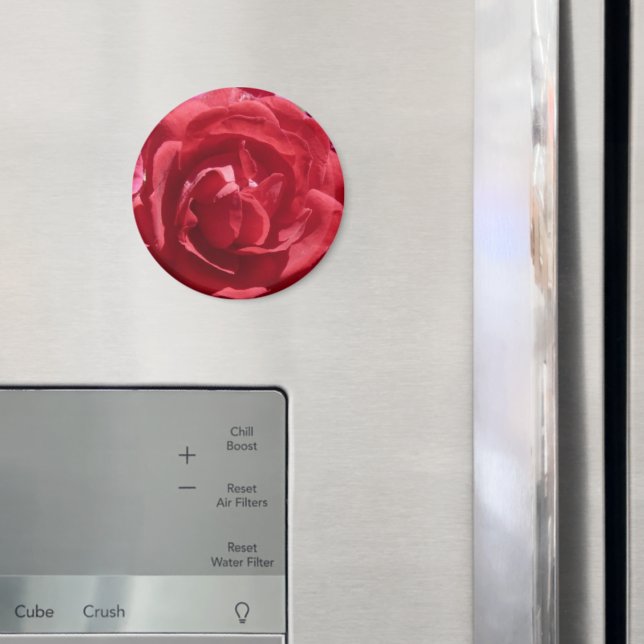 Íman Rosas vermelhas (In Situ (Fridge))