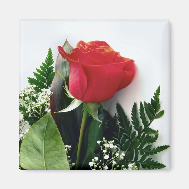 Íman Rosas vermelhas (Frente)