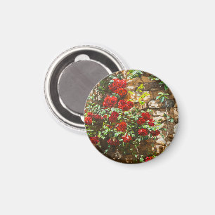 Íman Rosas Vermelhas Contra uma Parede de Pedra