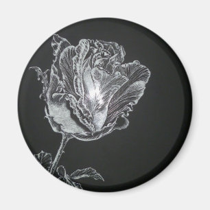 Íman Rosebud