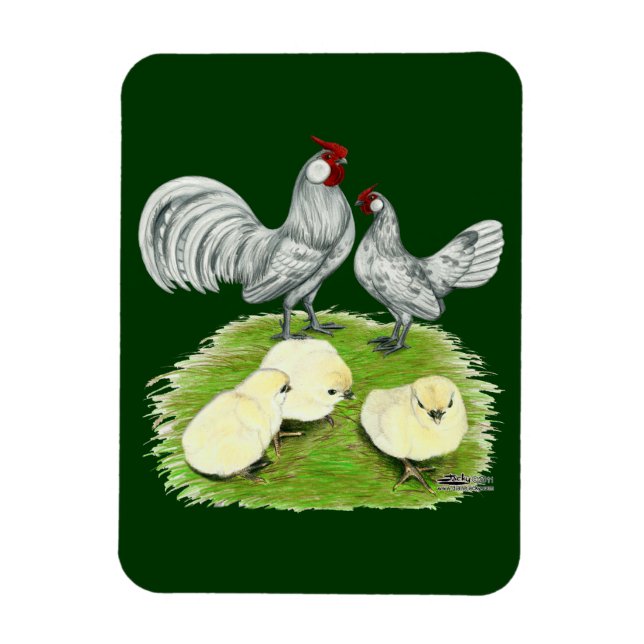 Íman Rosecomb Bantams e pintinhos (Vertical)