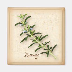 Íman Rosemary Herb