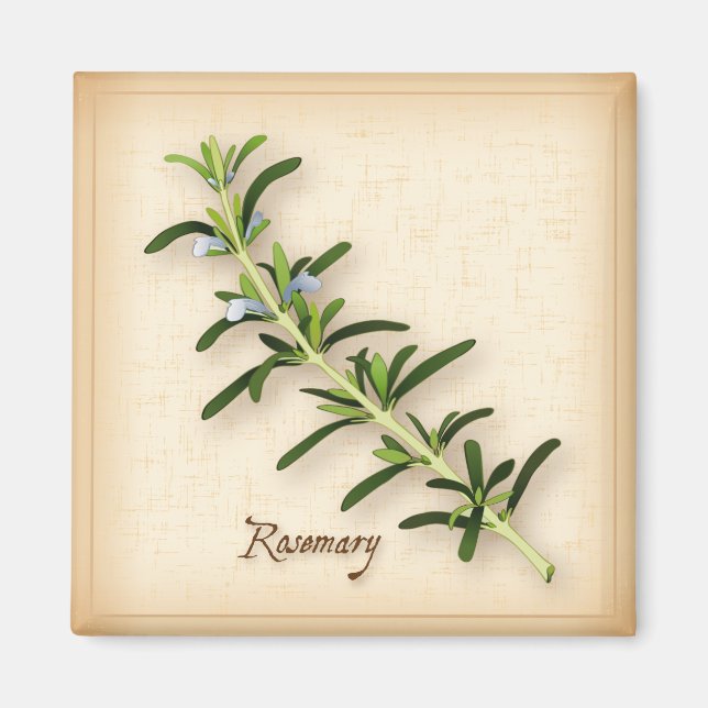 Íman Rosemary Herb (Frente)