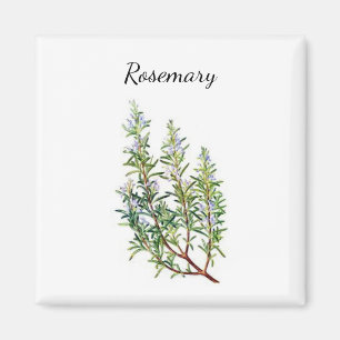 Íman Rosemary Herb Magnet