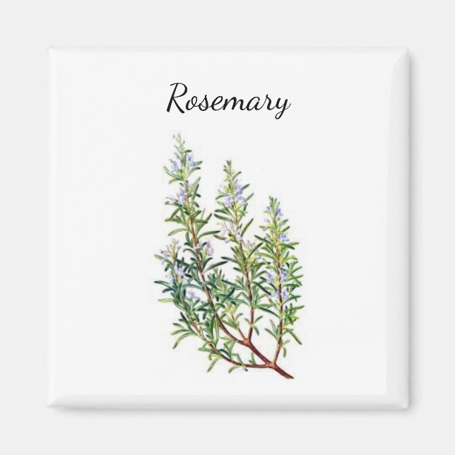 Íman Rosemary Herb Magnet (Frente)