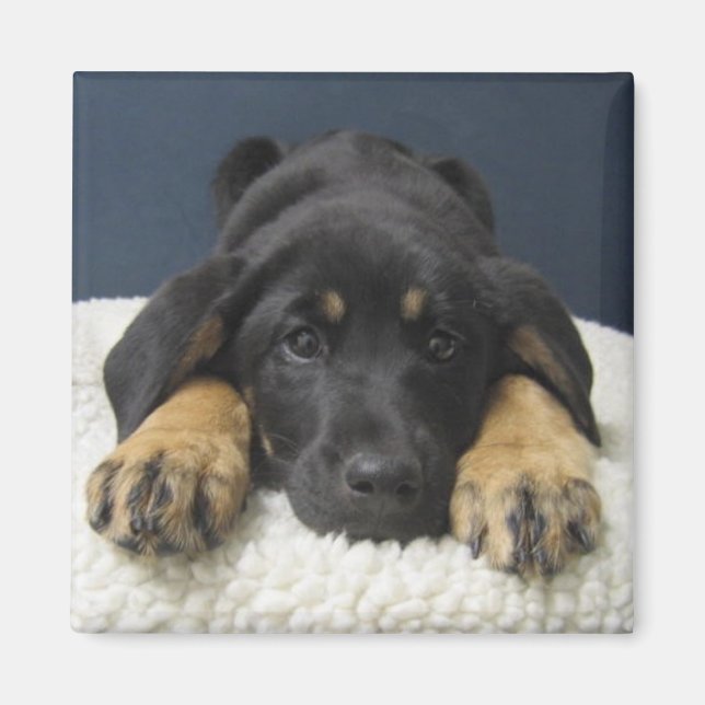 Íman Rosie (Frente)