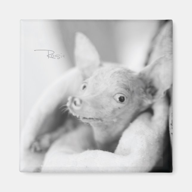 Íman Rosie Photo Magnet (Frente)