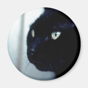 Íman Rosto de Gato Negro