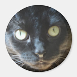 Íman Rosto de Gato Negro