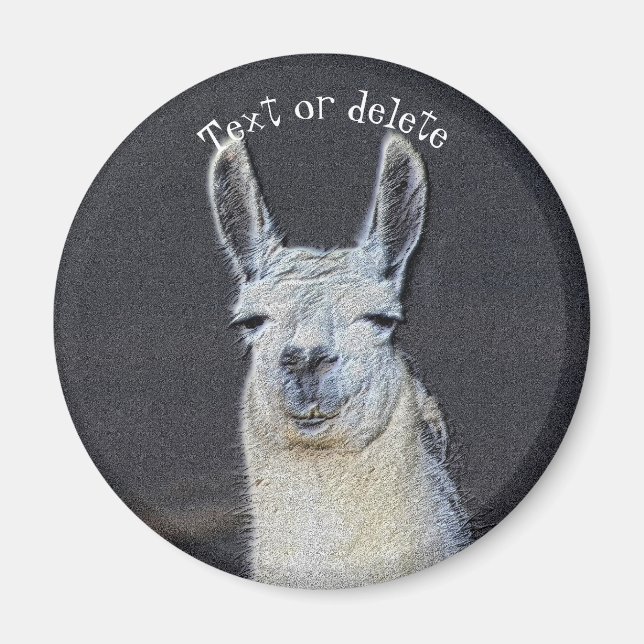 Íman Rosto de Lhama Arte Animal Personalizada (Frente)