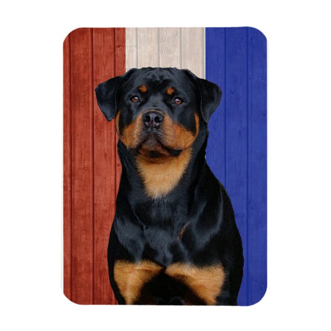 Íman Rottweiler (Vertical)