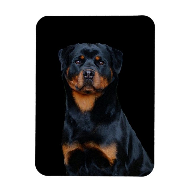 Íman Rottweiler (Vertical)