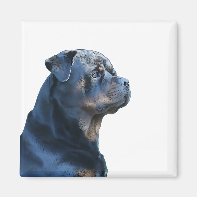 Íman Rottweiler (Frente)