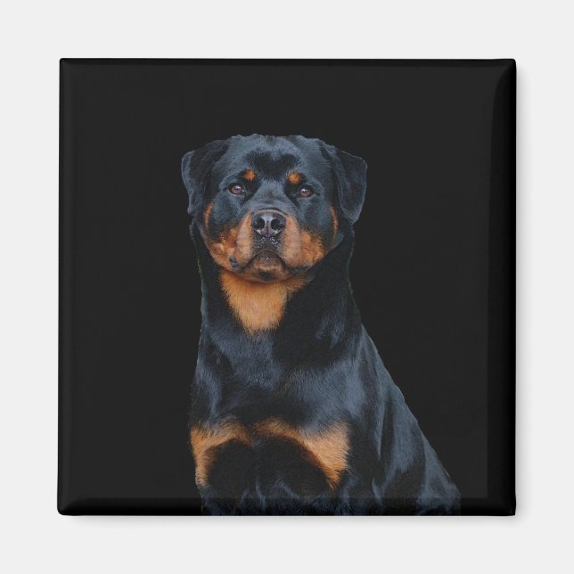 Íman Rottweiler (Frente)
